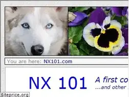 Sites similar to nx101.com
