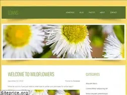 Sites similar to nxshorttermloans.com