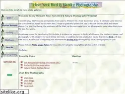 Sites similar to nybirds.net