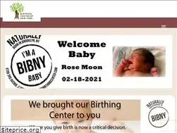 Sites similar to nybirthingcenter.com