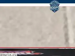 Sites similar to nyblbasketball.com