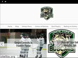 Sites similar to nybobcats.com