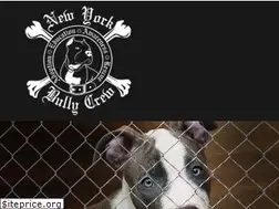 Sites similar to nybullycrew.org
