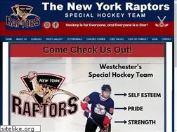 Sites similar to nyraptors.org