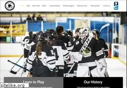 Sites similar to nzicehockey.co.nz