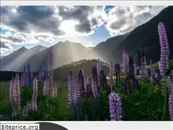 Sites similar to nztourguide.co.nz