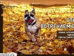Sites similar to o-dog.ru