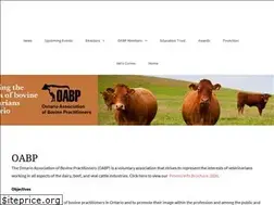 Sites similar to oabp.ca