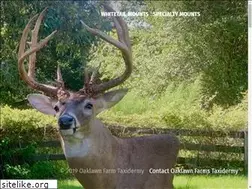 Sites similar to oaklawnfarmtaxidermy.com
