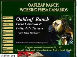 Sites similar to oakleafranch.com