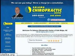 Sites similar to oakridgesalamachiropractic.com