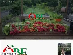 Sites similar to oasisbackyardfarms.com