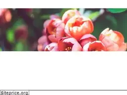 Sites similar to oaza.sos.pl