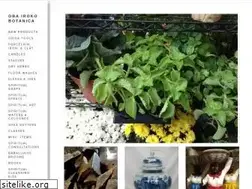 Sites similar to obairokobotanica.com
