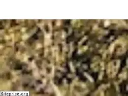 Sites similar to obcinc.org
