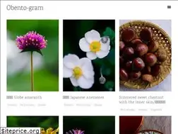 Sites similar to obentogram.com