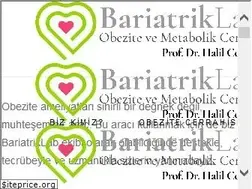 Sites similar to obezitecerrahisi.com