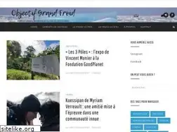 Sites similar to objectifgrandfroid.com
