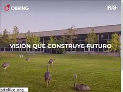 Sites similar to obring.com.ar