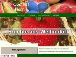 Sites similar to obsthofhoernle.de
