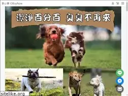 Sites similar to obuynow.tw