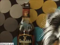 Sites similar to ocaoengarrafado.com.br