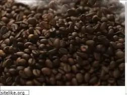 Sites similar to ocdcafe.com