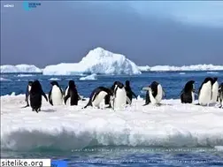 Sites similar to ocean-egypt.weebly.com