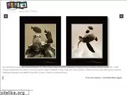 Sites similar to oceanartshawaii.com