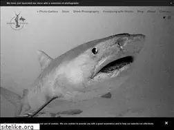 Sites similar to oceanicdreams.com