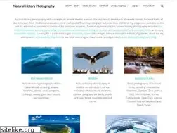 Sites similar to oceanlight.com