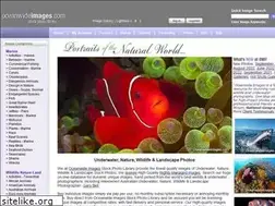 Sites similar to oceanwideimages.com.au