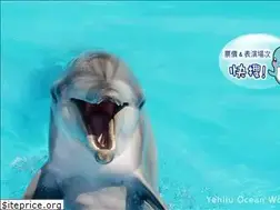 Sites similar to oceanworld.com.tw