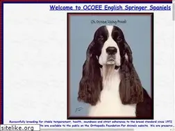 Sites similar to ocoeespringers.com