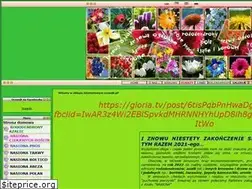 Sites similar to oczarjk.pl