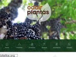 Sites similar to odairplantas.com.br