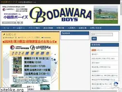 Sites similar to odawaraboys.com
