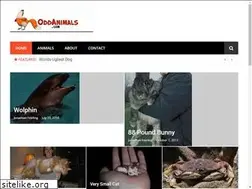 Sites similar to oddanimals.com