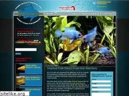 Sites similar to oddballfish.com