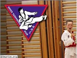 Sites similar to oddertaekwondo.dk