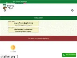 Sites similar to odemisfidan.com