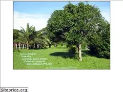 Sites similar to odiled.com