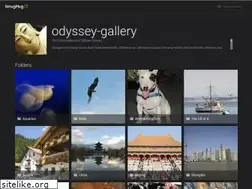 Sites similar to odysseygallery.com