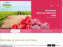 Sites similar to oerlemans-foods.nl
