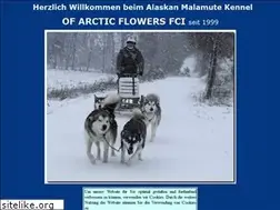 Sites similar to of-arctic-flowers.de