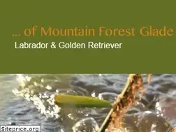 Sites similar to of-mountain-forest-glade.de
