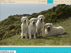 Sites similar to ofcayshappiness.be