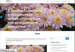 Sites similar to oflex.ru