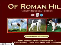Sites similar to ofromanhill.de