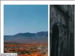 Sites similar to oftwominds.com